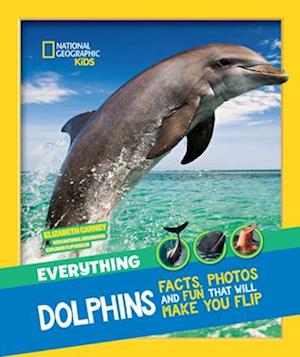 Everything: Dolphins