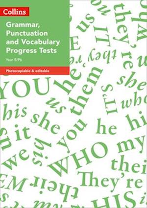 Year 5/P6 Grammar, Punctuation and Vocabulary Progress Tests
