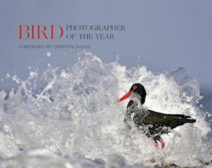 Bird Photographer of the Year