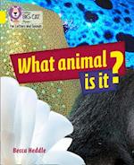 What Animal is It?