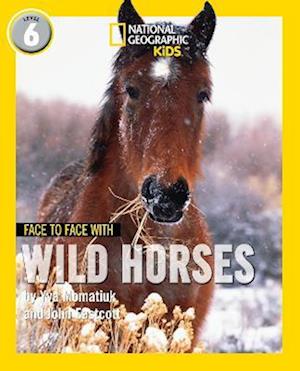 Face to Face with Wild Horses