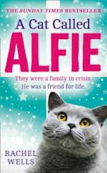 A Cat Called Alfie