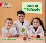Look at the shoots!