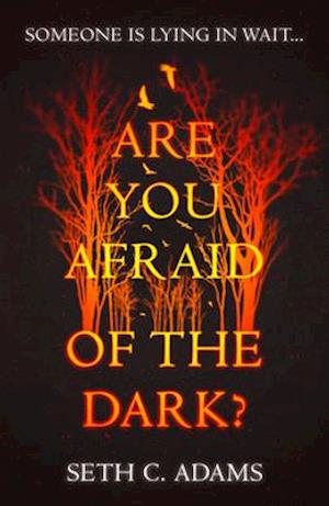 Are You Afraid of the Dark?