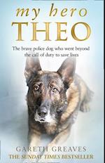 My Hero Theo