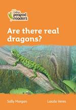 Level 4 – Are there real dragons?