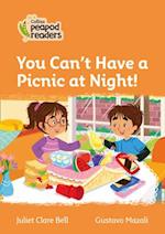 Level 4 – You Can't Have a Picnic at Night!