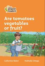 Level 4 – Are tomatoes vegetables or fruit?