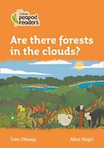 Level 4 – Are there forests in the clouds?