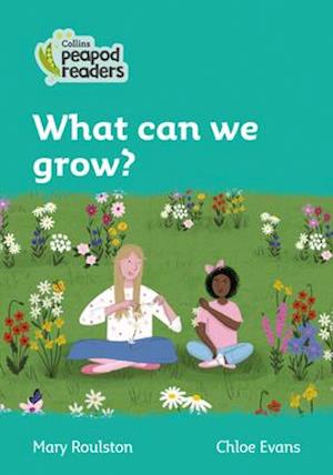 Level 3 – What can we grow?