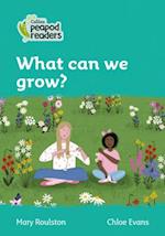 Level 3 – What can we grow?