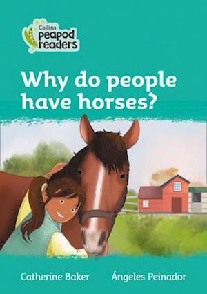 Level 3 – Why do people have horses?