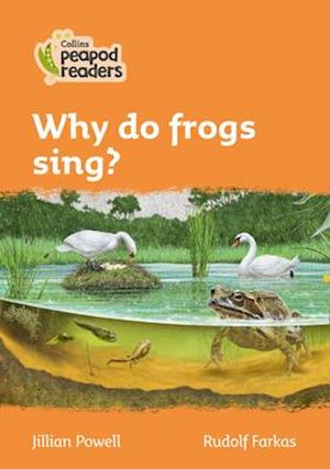 Level 4 – Why do frogs sing?