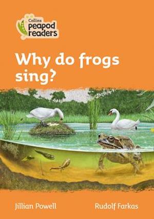 Why do frogs sing?