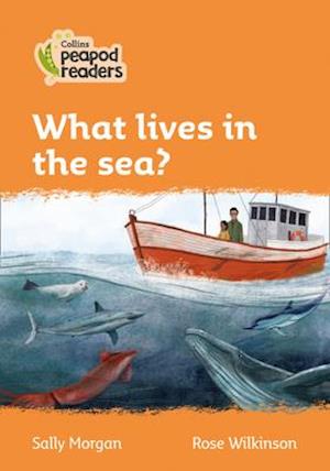 What lives in the sea?