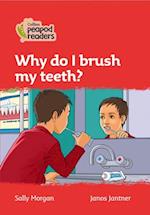 Level 5 – Why do I brush my teeth?