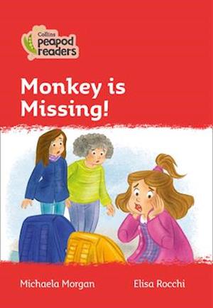 Level 5 – Monkey is Missing!
