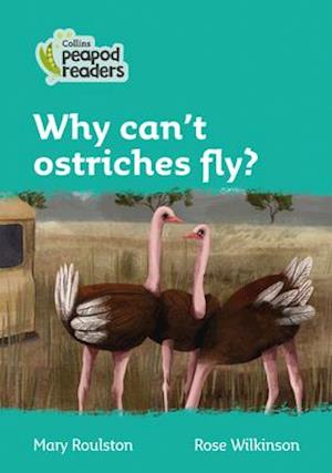 Level 3 – Why can't ostriches fly?