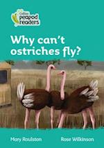 Level 3 – Why can't ostriches fly?