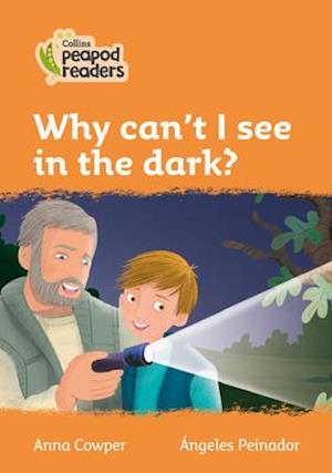 Why can't I see in the dark?