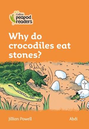 Level 4 – Why do crocodiles eat stones?