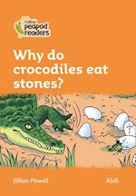 Level 4 – Why do crocodiles eat stones?