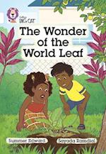 The Wonder of the World Leaf