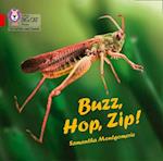 Buzz, Hop, Zip! Big Book
