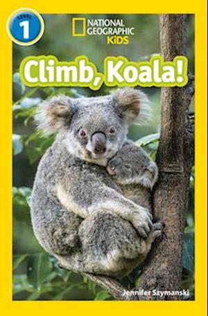 Climb, Koala!