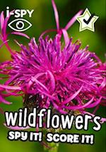i-SPY Wildflowers