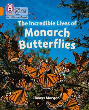 The Incredible Lives of Monarch Butterflies