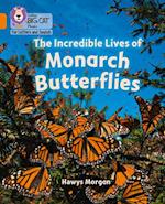 The Incredible Lives of Monarch Butterflies