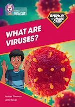 Shinoy and the Chaos Crew: What are viruses?