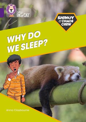 Shinoy and the Chaos Crew: Why do we sleep?