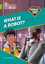 Shinoy and the Chaos Crew: What is a robot?