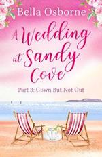Wedding at Sandy Cove: Part 3