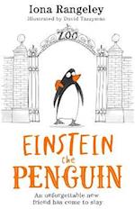 Einstein the Penguin