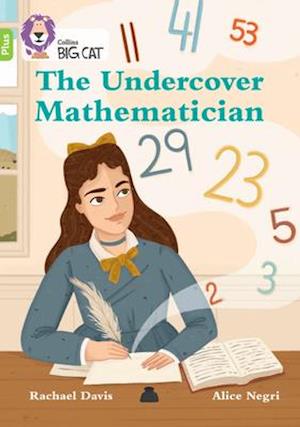 The Undercover Mathematician