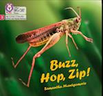 Buzz, Hop, Zip!