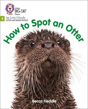 How to Spot an Otter