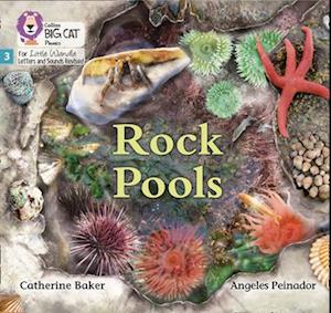 Rock Pools