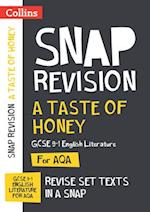 A Taste of Honey AQA GCSE 9-1 English Literature Text Guide