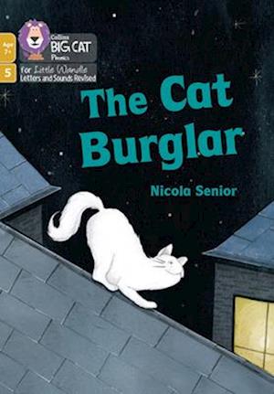 The Cat Burglar