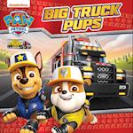 PAW Patrol Big Truck Pups Picture Book