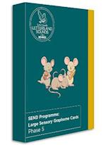 SEND Programme: Large Sensory Grapheme Cards