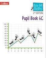 Pupil Book 6C