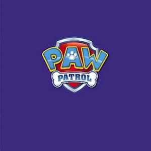 PAW PATROL: The Clean Machine