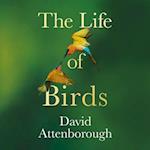 The Life of Birds