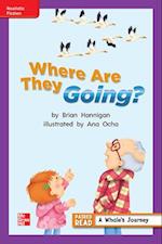 Reading Wonders Leveled Reader Where Are They Going?