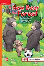 Reading Wonders Leveled Reader a New Bear in the Forest